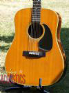 1968 Martin Brazilian D-28 