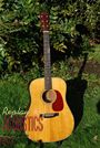 The Jackson C Frank 1948 D 28 