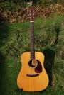 1963 C F Martin D 21 