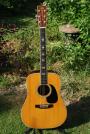 1973 C F Martin D 41 (sold)
