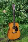 1966 CF Martin D 21 