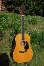 1973 CF Martin D 35 slothead